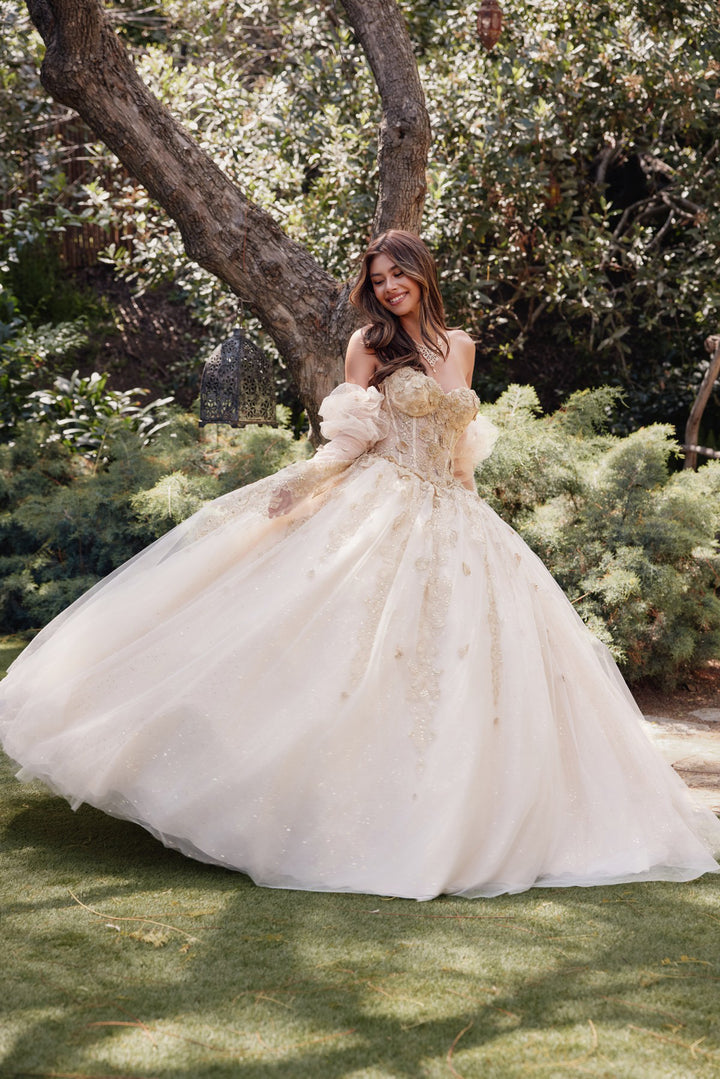 Juliet JT1465H quinceanera ball gown front side view, option 2