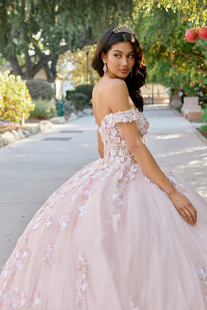 Juliet JT1460J off-shoulder floral appliqué quinceanera ball gown back three-quarter view, option 2
