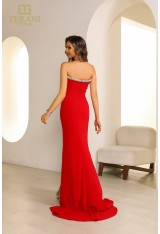Terani 241E2437 Dress - FOSTANI.com