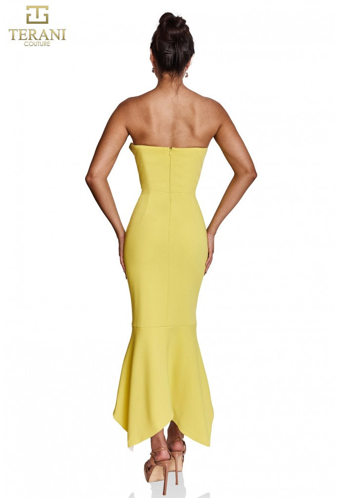 TERANI 251C4173 DRESS - FOSTANI.com