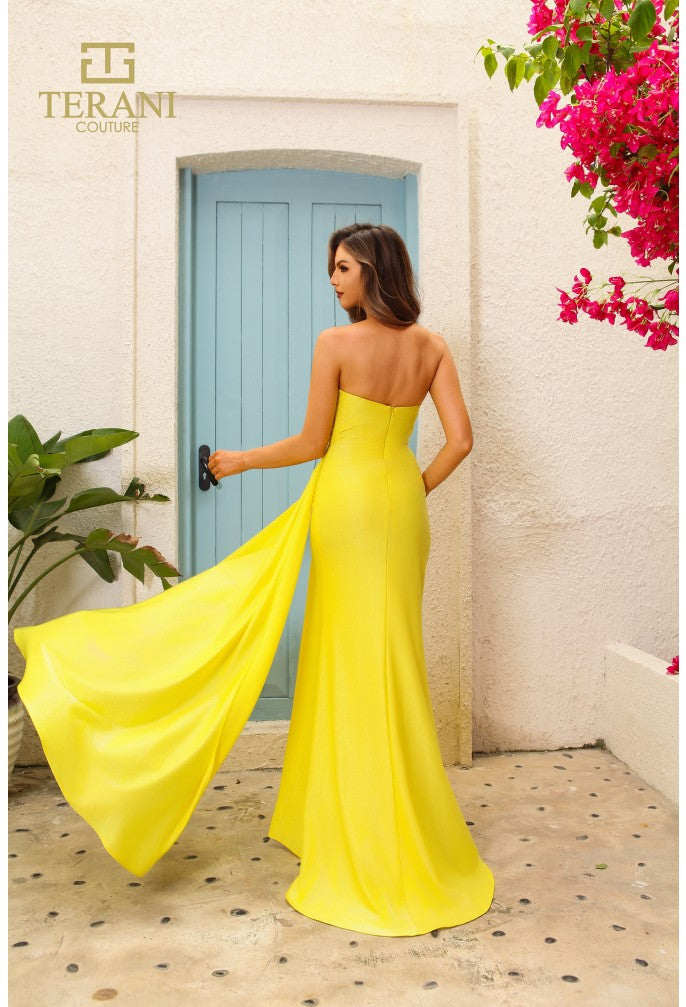 TERANI 251P4055 DRESS - FOSTANI.com