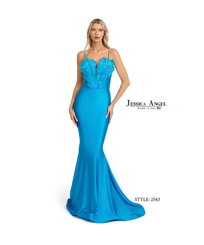 Jessica Angel 2543 feather bodice mermaid gown front view