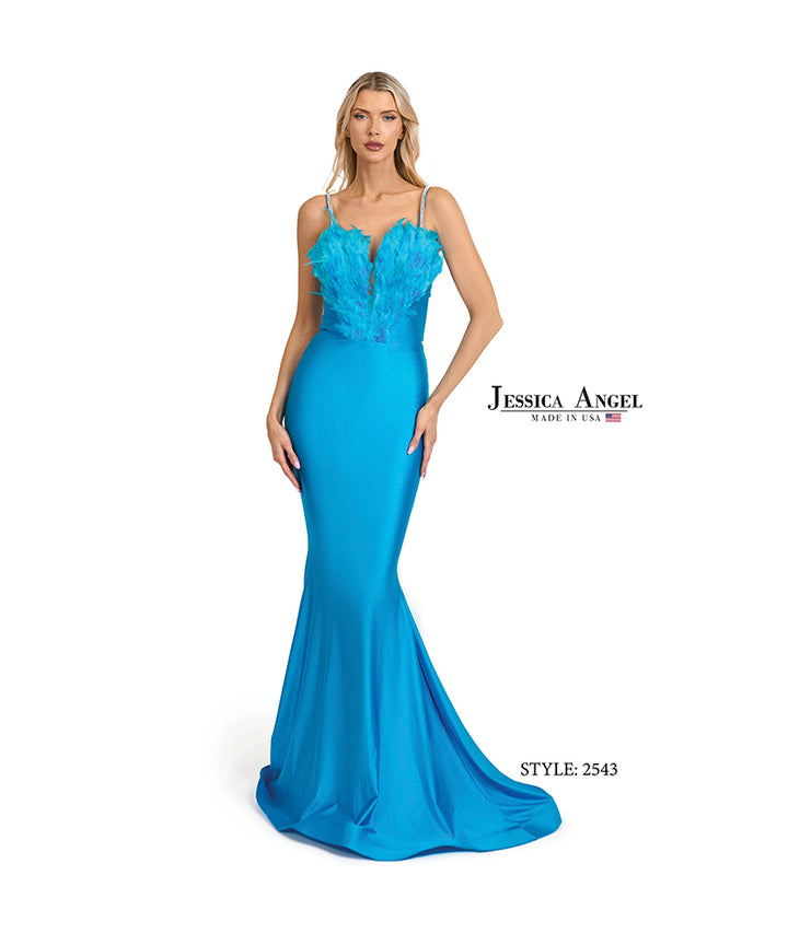 Jessica Angel 2543 feather bodice mermaid gown front view