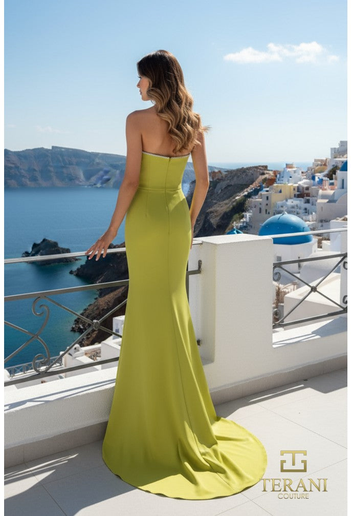 Terani 261P6076 Dress - FOSTANI.com