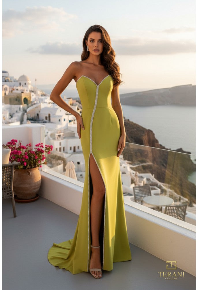 Terani 261P6076 Dress - FOSTANI.com