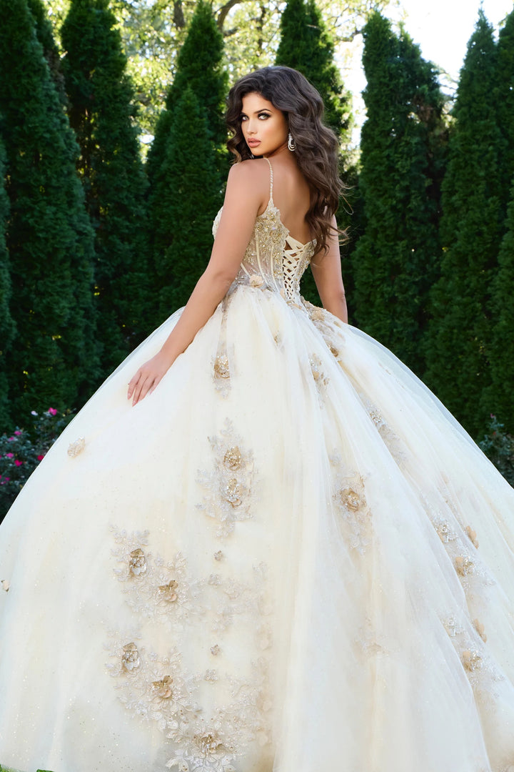 Jovani Q44559 Embellished Corset Dress with Floral Appliques