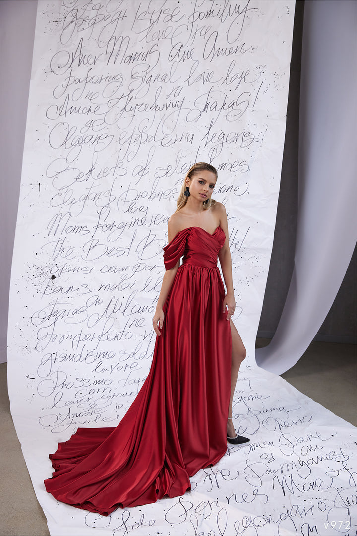 Vissaria v972 Dress - FOSTANI.com