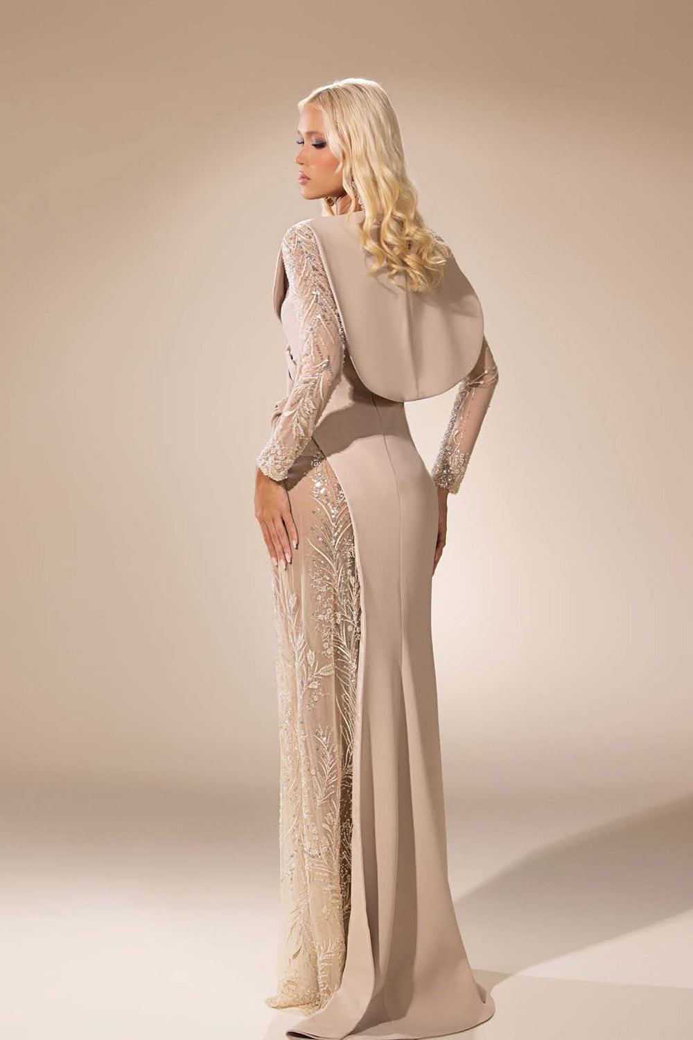 Sheer-Lace Sleeve Dress with Draped Silhouette - FOSTANI.com