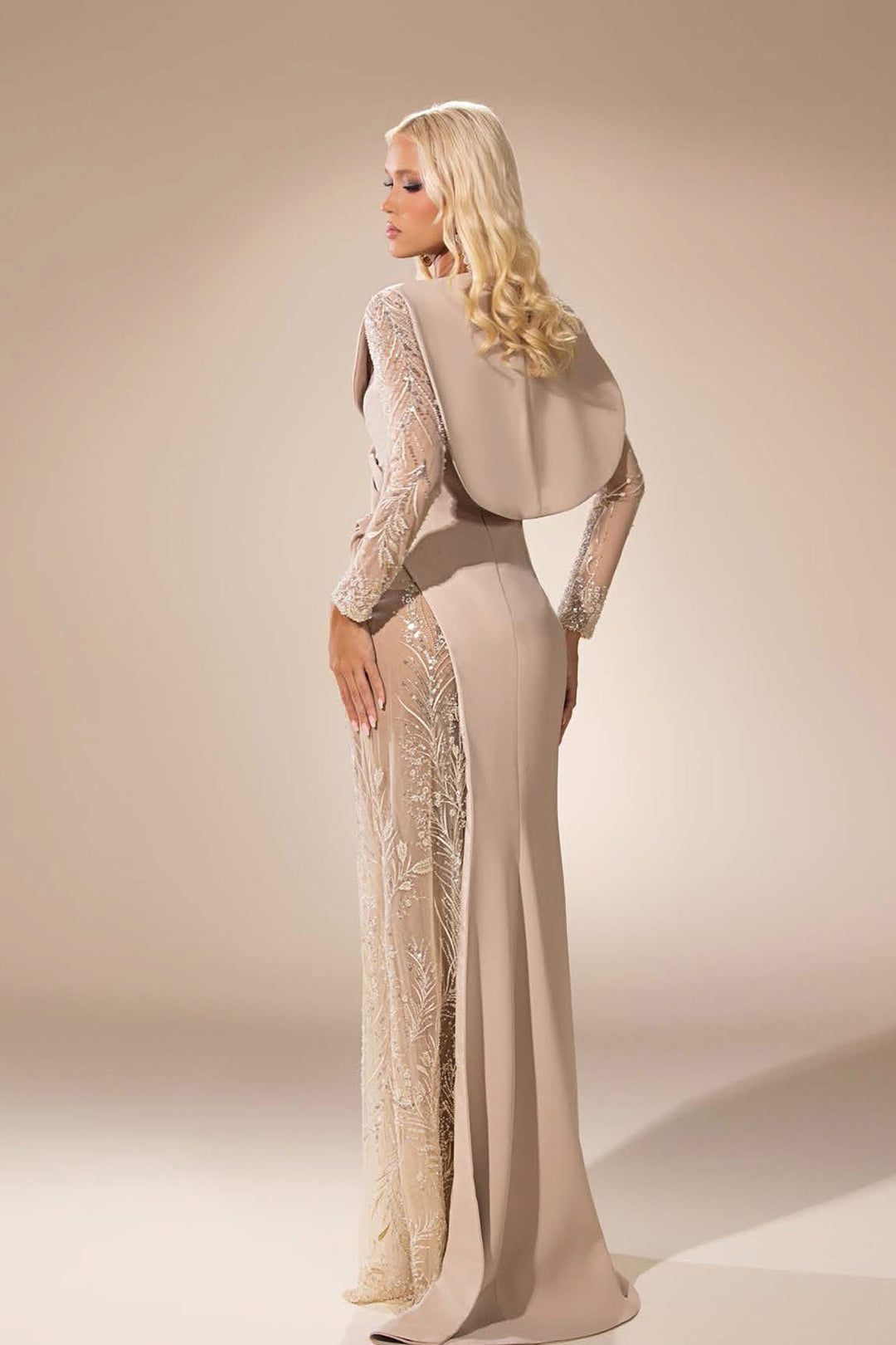 Sheer-Lace Sleeve Dress with Draped Silhouette - FOSTANI.com