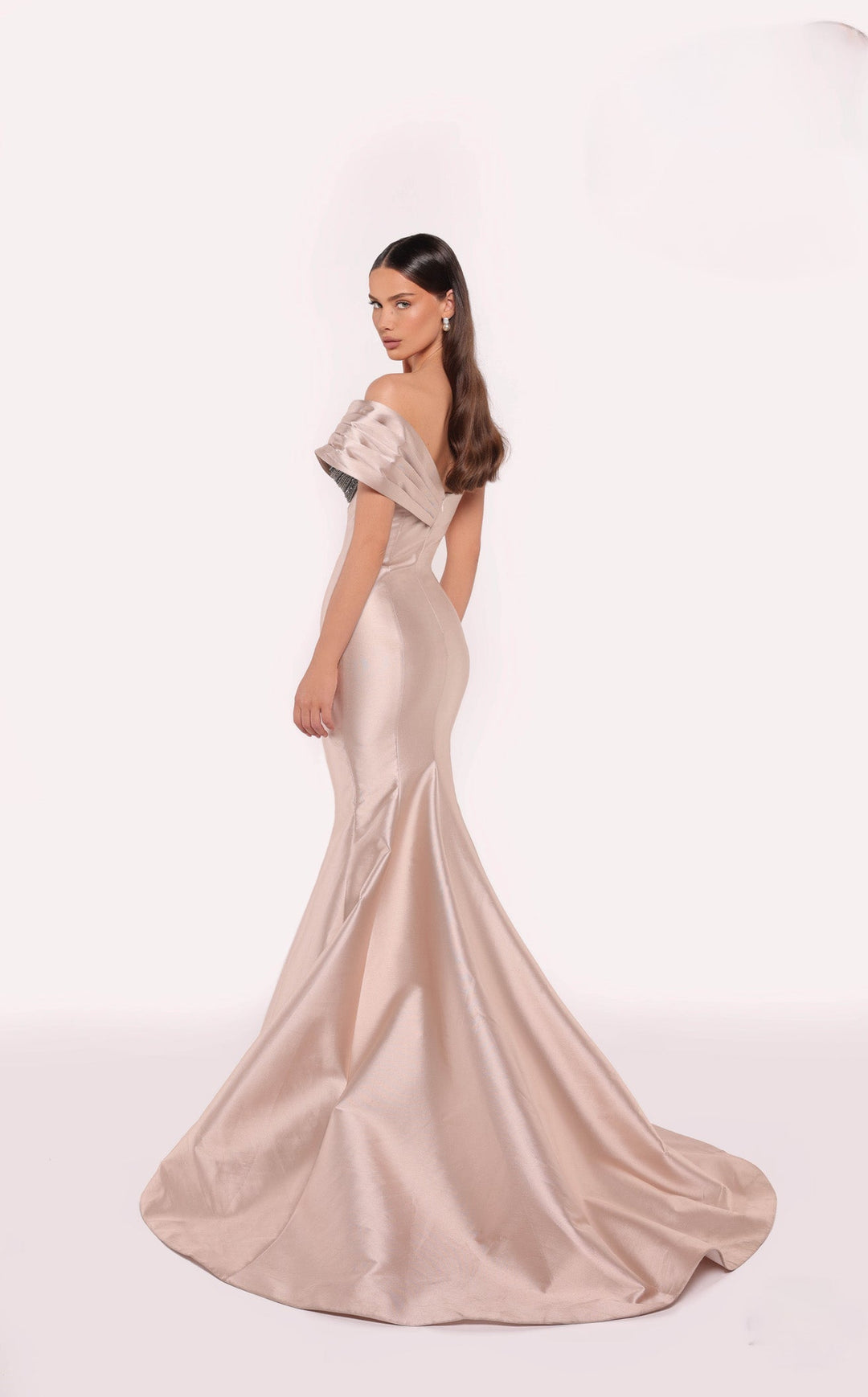 Tarik Ediz 98766 Dress - FOSTANI.com