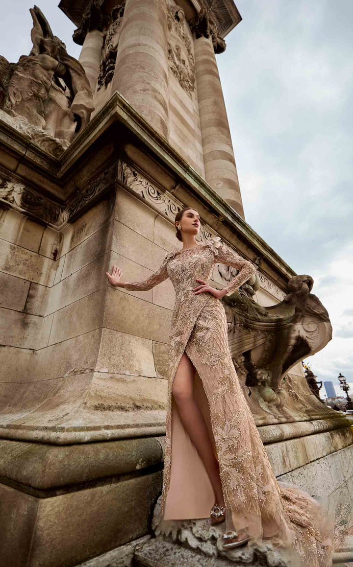 Terani 242GL3219 Dress - FOSTANI.com