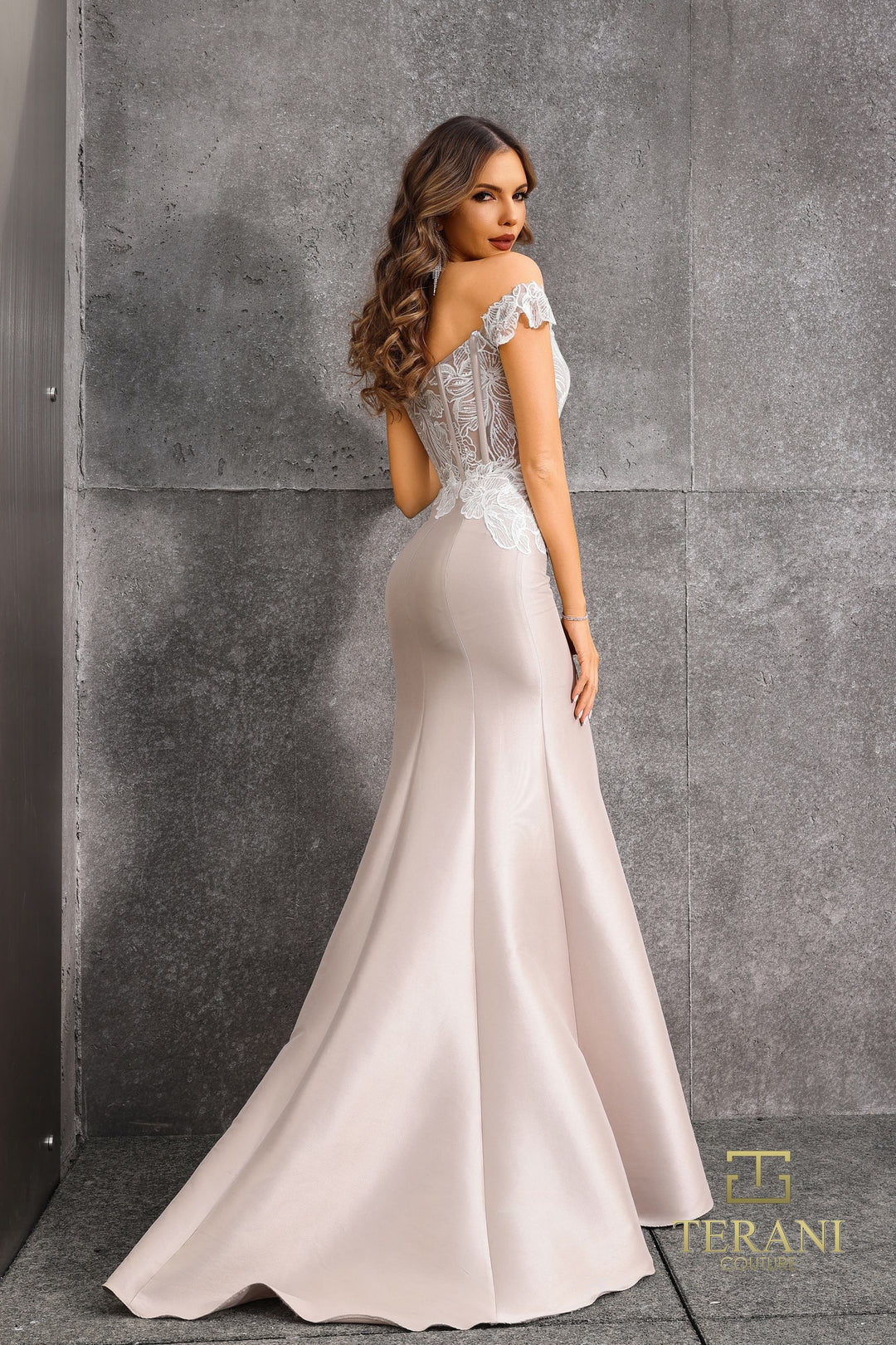 Terani 252E5133 Dress - FOSTANI.com