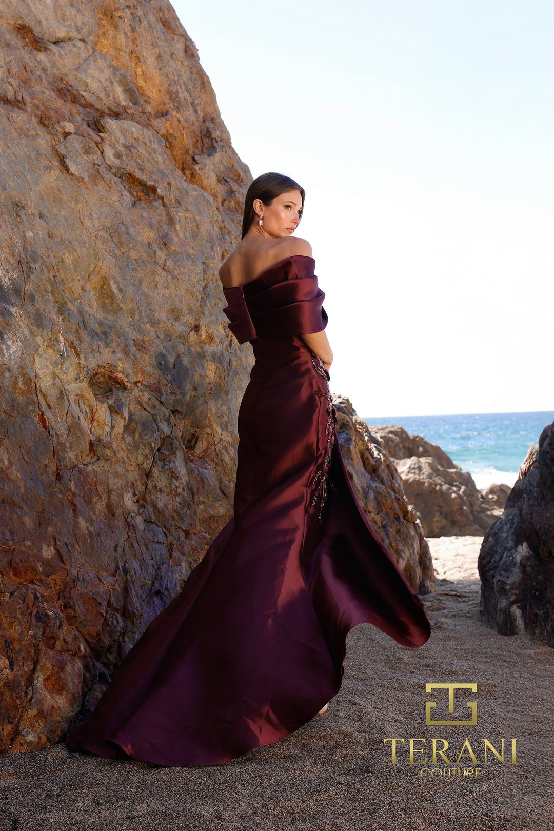 Terani 252M5324 Dress - FOSTANI.com