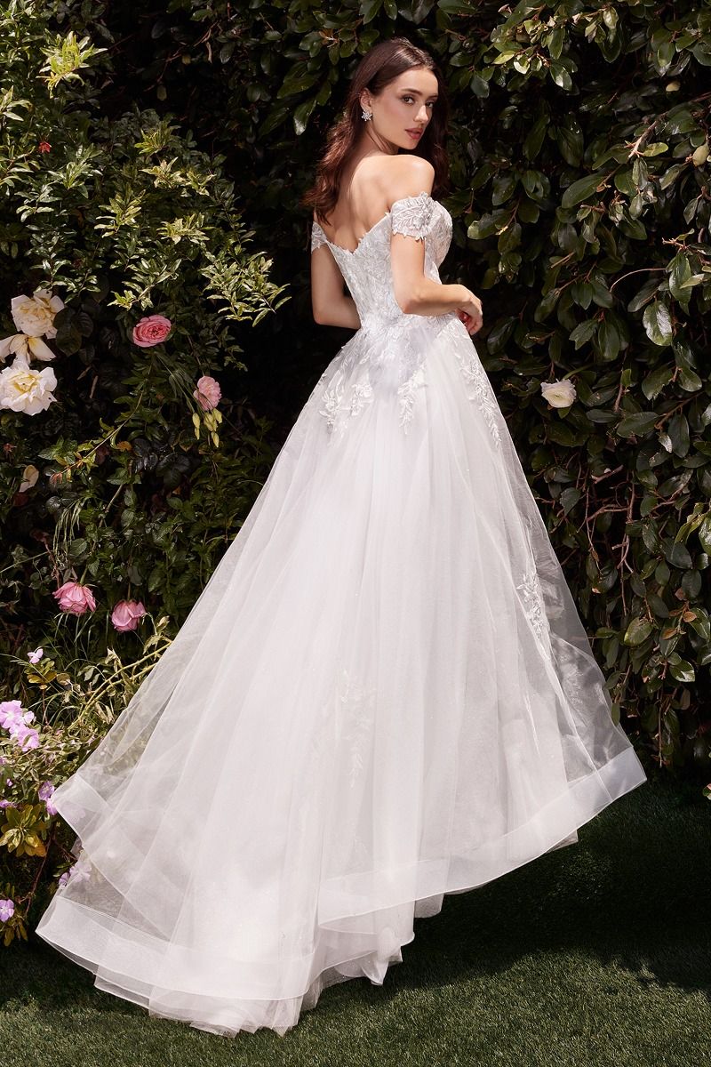 Cinderella Divine C159W DRESS - FOSTANI.com