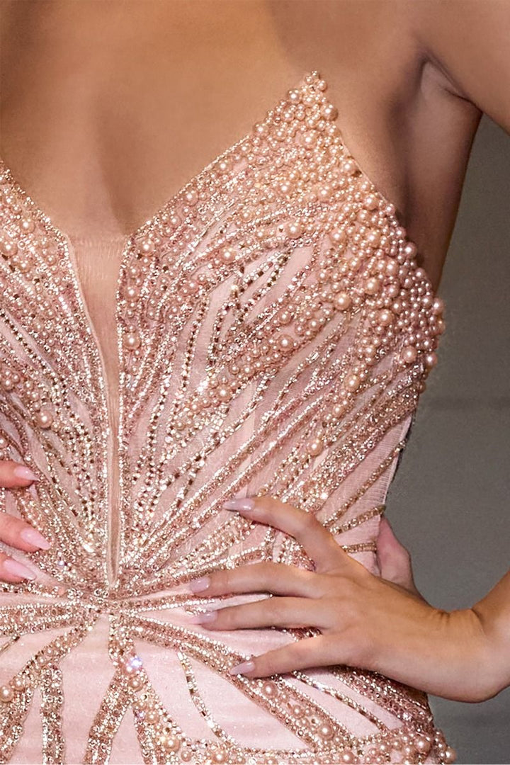 Cinderella Divine  CC0688 Dress - FOSTANI.com