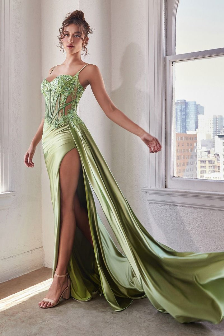 Cinderella Divine CD868 Dress - FOSTANI.com