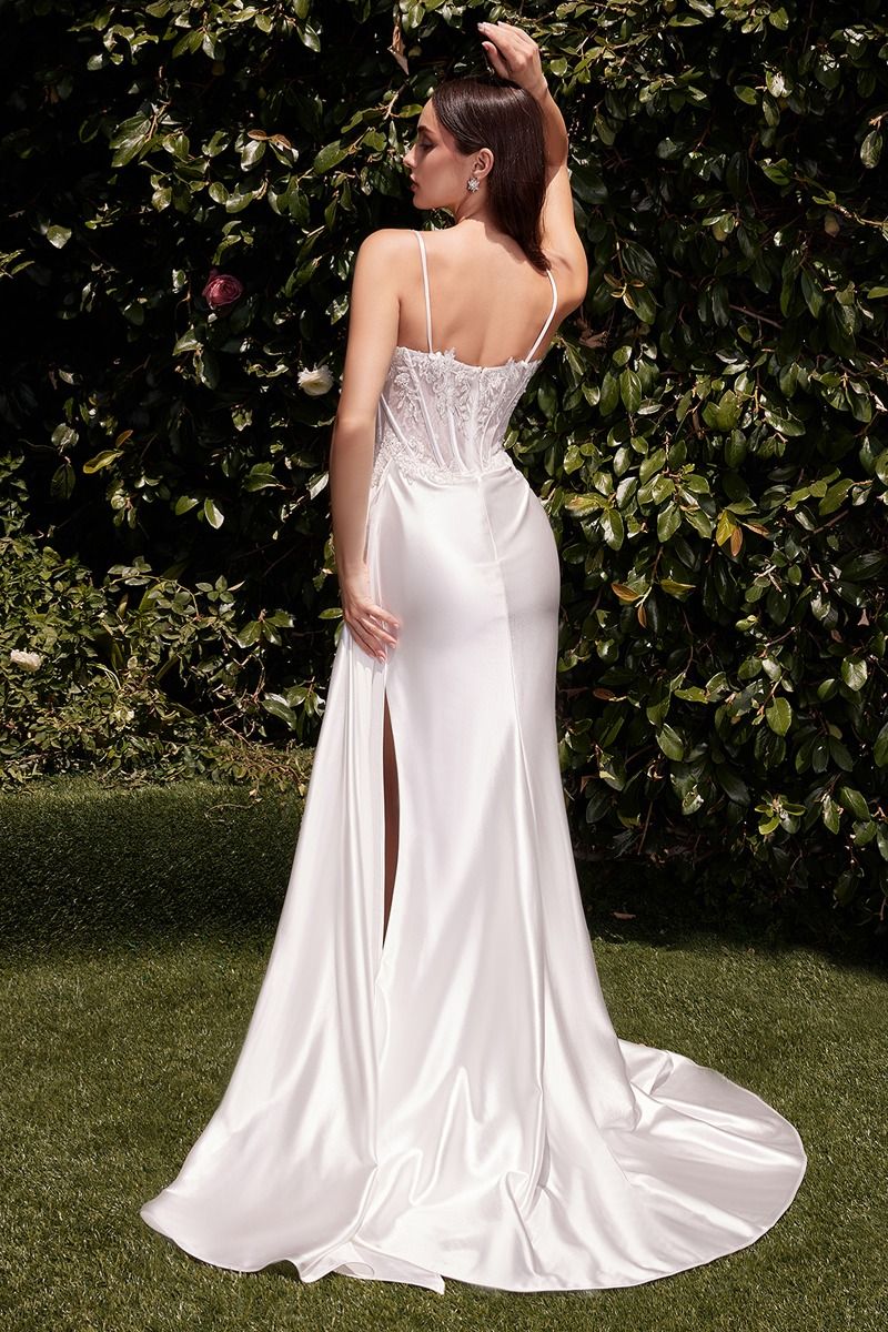 Cinderella Divine CD868W DRESS - FOSTANI.com