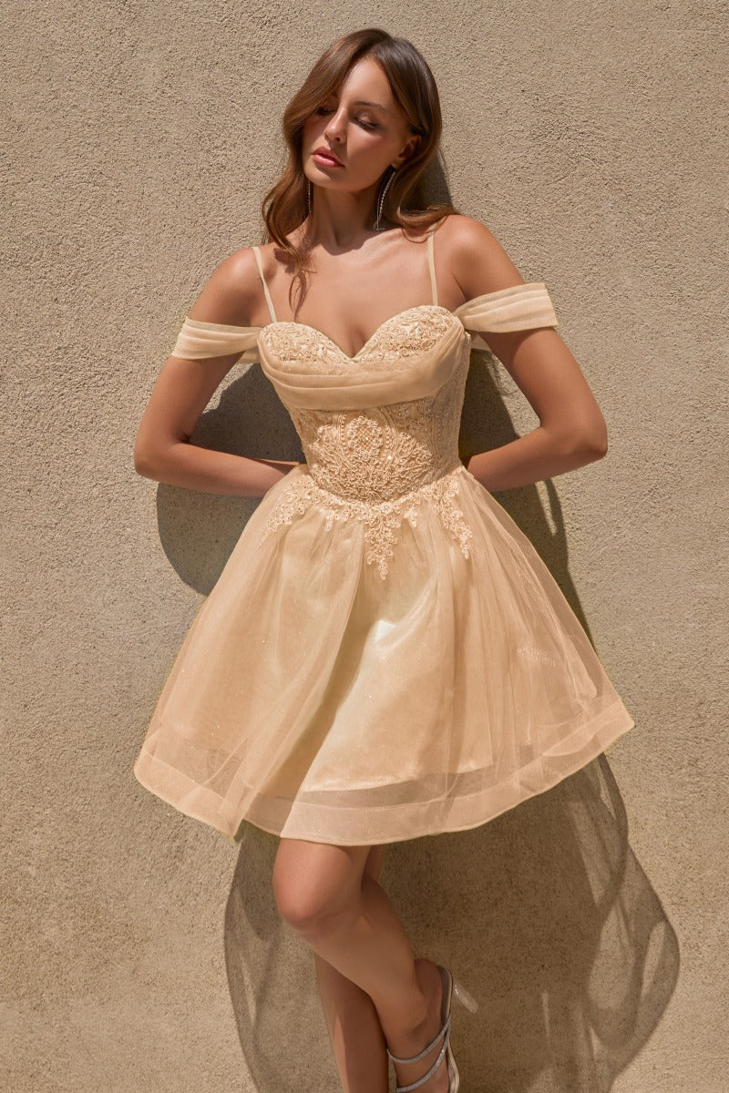 Ladivine CY024 Champagne Gold flowing A-line chiffon gown
