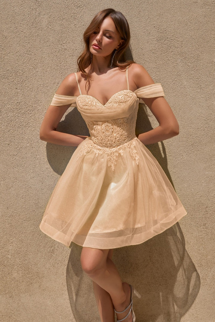 Ladivine CY024 Champagne Gold flowing A-line chiffon gown