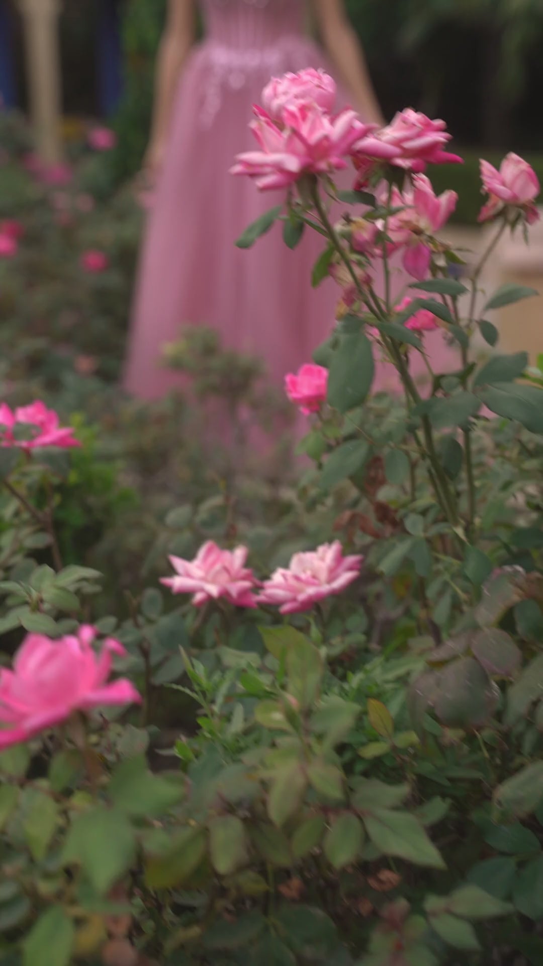 ANDREA AND LEO A1267 DRESS