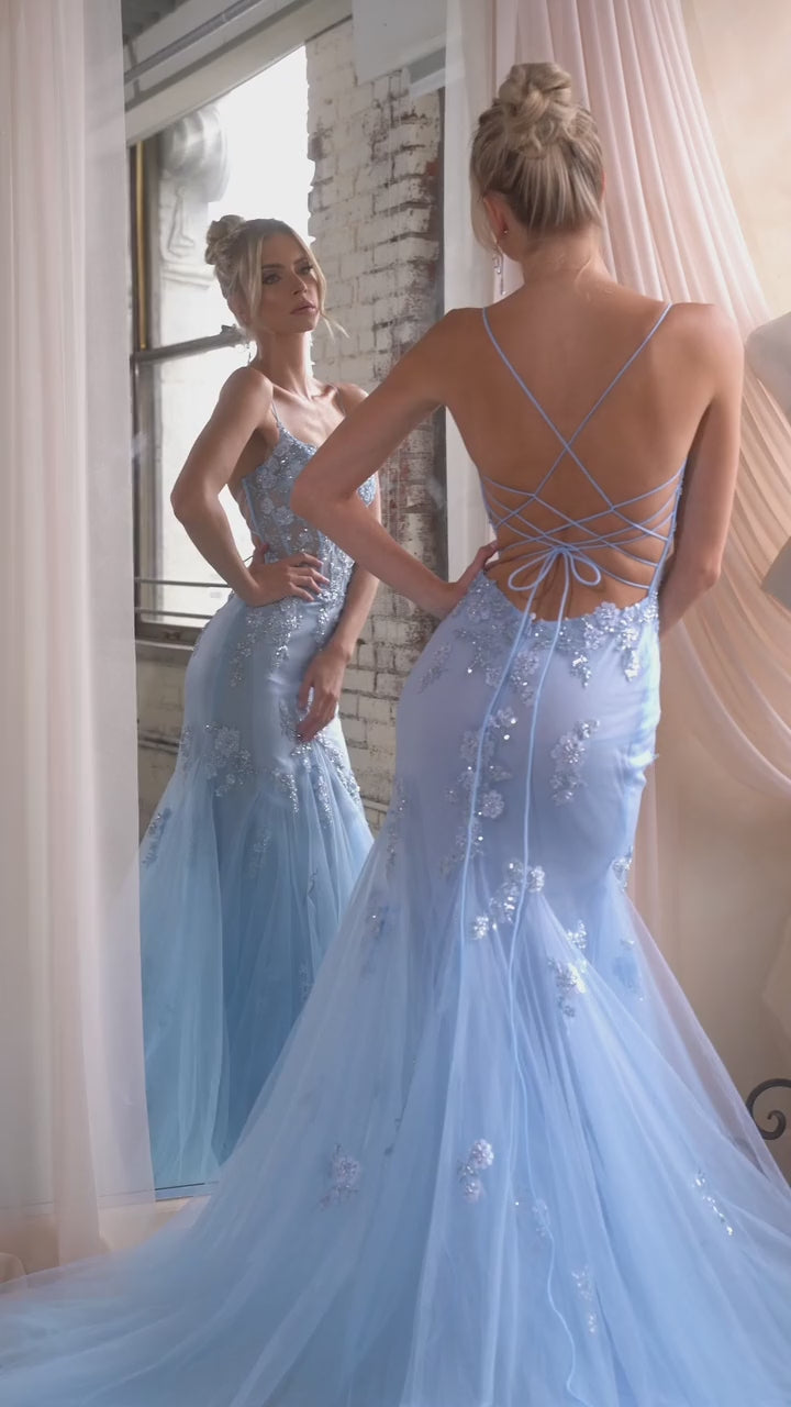 Cinderella Divine D145 DRESS