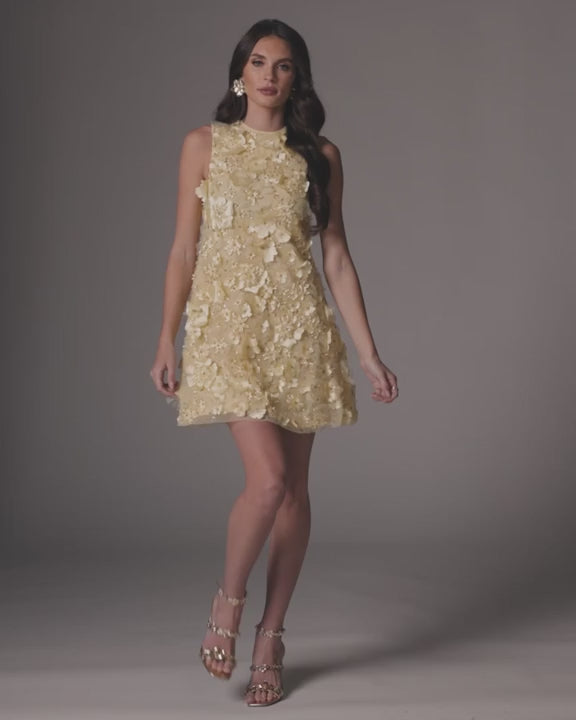 Mac Duggal 23108 Dress video