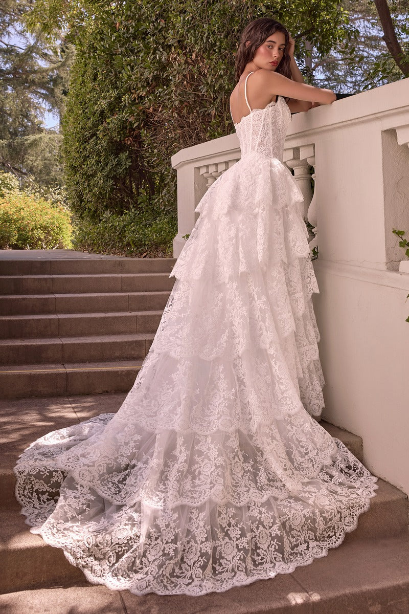 Andrea & Leo Couture WL076 open back bridal gown with train, three-quarter back view
