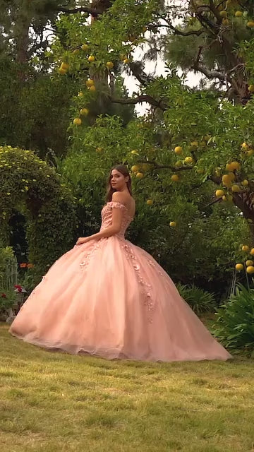 Ladivine  CD0185 Dress