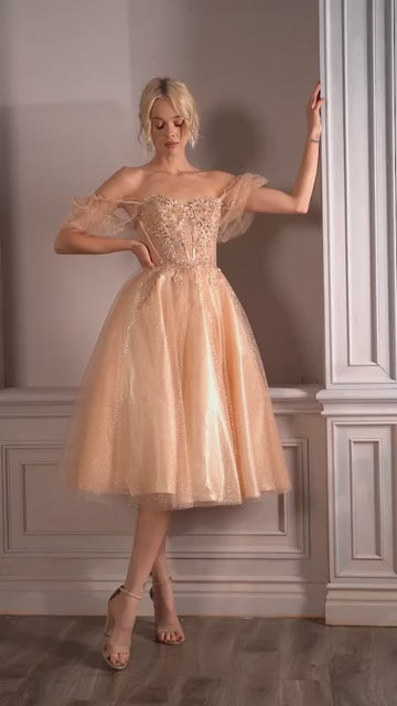 Cinderella Divine  CD0187 Dress