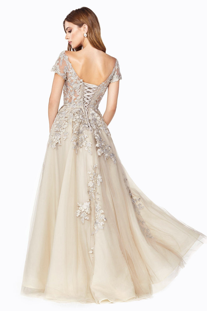 Cinderella Divine C20 Dress - FOSTANI